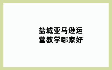 盐城亚马逊运营教学哪家好