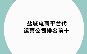 盐城电商平台代运营公司排名前十
