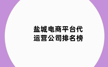 盐城电商平台代运营公司排名榜