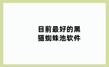 目前最好的黑猫蜘蛛池软件
