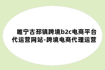 睢宁古邳镇跨境b2c电商平台代运营网站-跨境电商代理运营