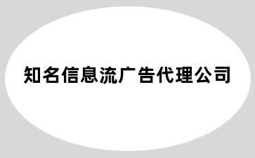 知名信息流广告代理公司