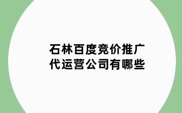 石林百度竞价推广代运营公司有哪些