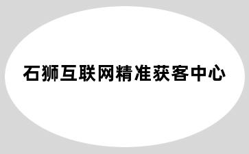 石狮互联网精准获客中心