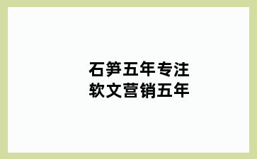 石笋五年专注软文营销五年