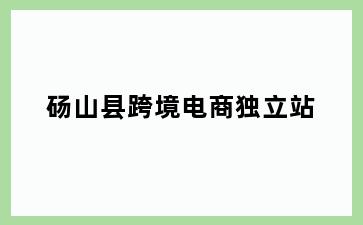 砀山县跨境电商独立站
