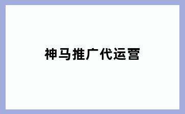 神马推广代运营