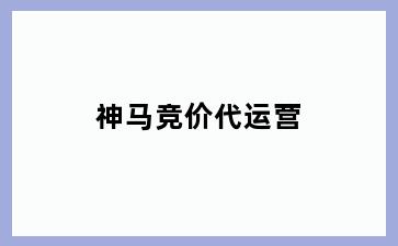 神马竞价代运营