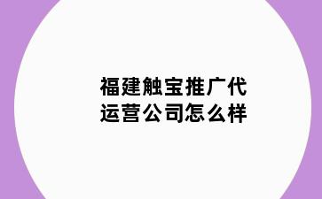 福建触宝推广代运营公司怎么样