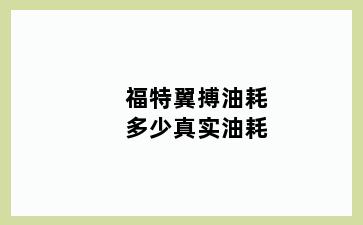 福特翼搏油耗多少真实油耗