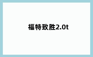 福特致胜2.0t