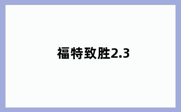 福特致胜2.3