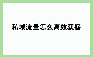 私域流量怎么高效获客