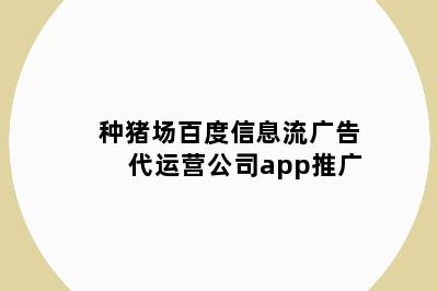 种猪场百度信息流广告代运营公司app推广