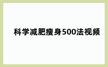 科学减肥瘦身500法视频
