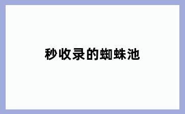 秒收录的蜘蛛池
