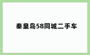 秦皇岛58同城二手车