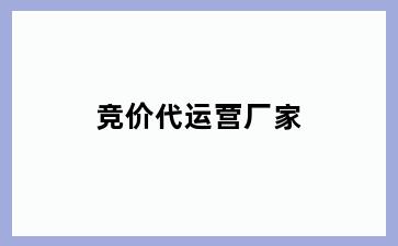 竞价代运营厂家