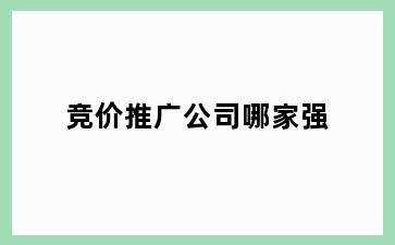 竞价推广公司哪家强