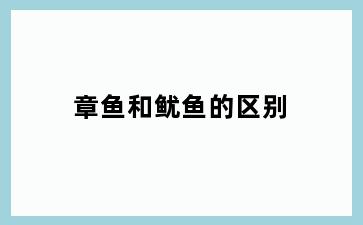 章鱼和鱿鱼的区别