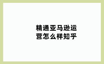 精通亚马逊运营怎么样知乎