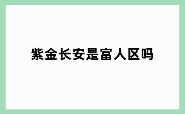 紫金长安是富人区吗