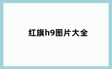 红旗h9图片大全