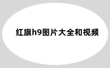 红旗h9图片大全和视频