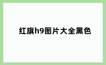 红旗h9图片大全黑色