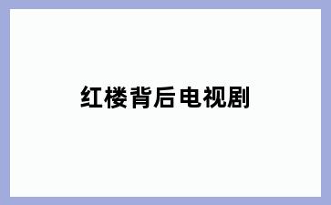红楼背后电视剧