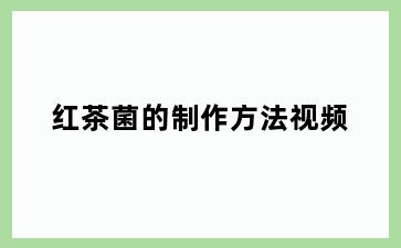 红茶菌的制作方法视频