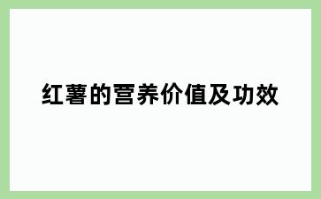 红薯的营养价值及功效