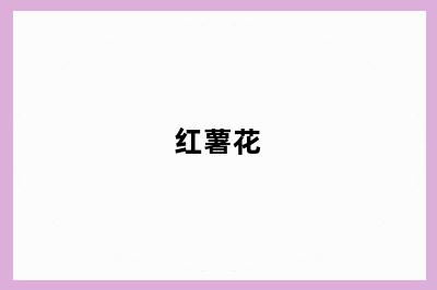 红薯花