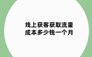 线上获客获取流量成本多少钱一个月