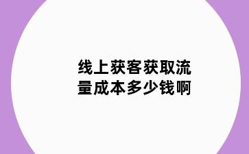 线上获客获取流量成本多少钱啊