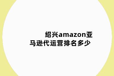 绍兴amazon亚马逊代运营排名多少