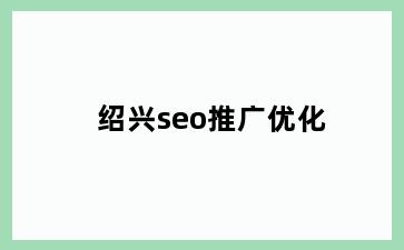 绍兴seo推广优化