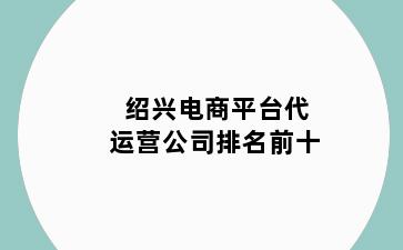 绍兴电商平台代运营公司排名前十