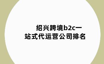 绍兴跨境b2c一站式代运营公司排名