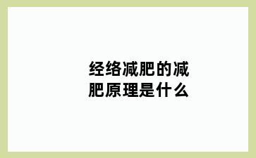经络减肥的减肥原理是什么