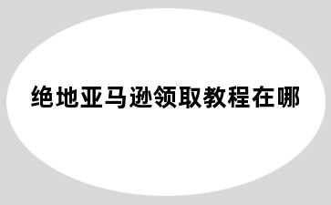 绝地亚马逊领取教程在哪