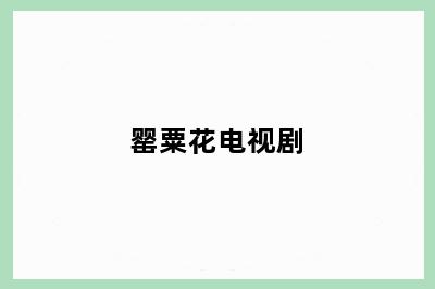 罂粟花电视剧