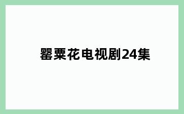 罂粟花电视剧24集