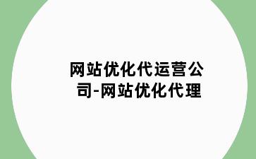 网站优化代运营公司-网站优化代理