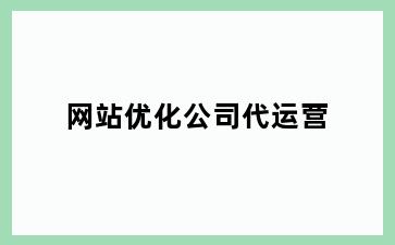 网站优化公司代运营