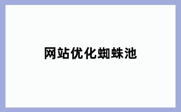 网站优化蜘蛛池