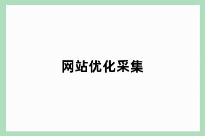 网站优化采集