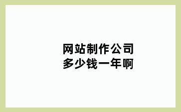 网站制作公司多少钱一年啊