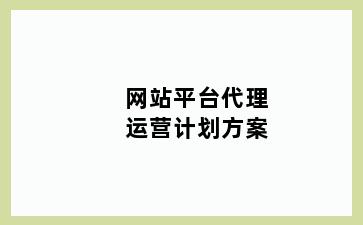 网站平台代理运营计划方案