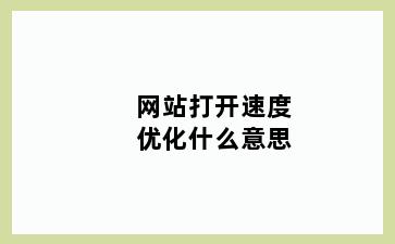 网站打开速度优化什么意思